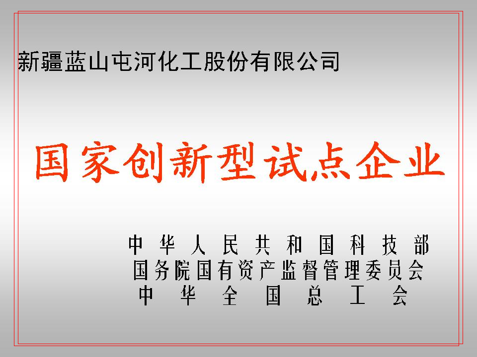 國家創(chuàng)新型試點企業(yè)